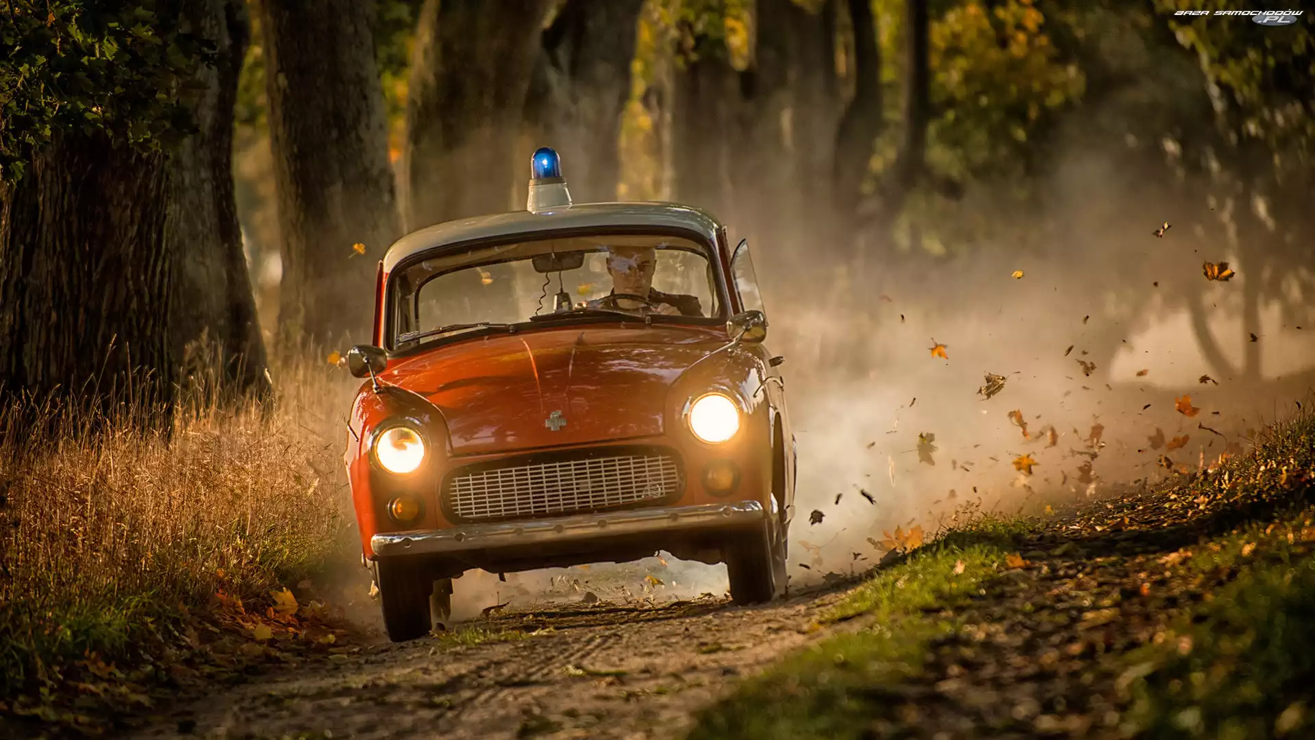 Syrena, Droga, Li¶cie